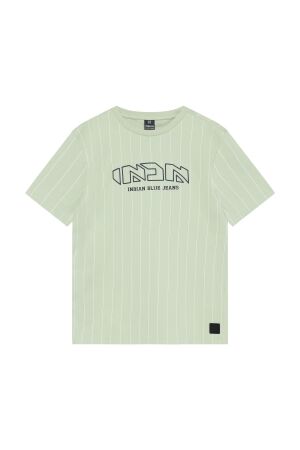 Indian Blue Jeans T-Shirt krijtstreep Laurel Green