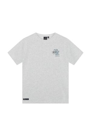 Indian Blue Jeans T-Shirt Light Grey Melange