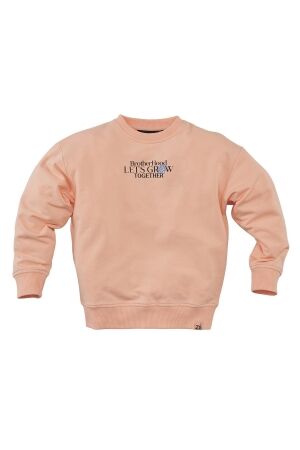 Z8 Adrean Sweater Peach fuzz