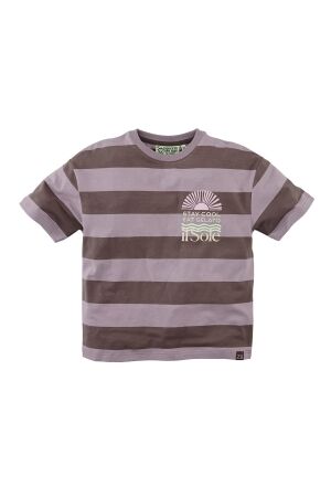 Z8 Iwan T-shirt Crazy coconut-Stripes