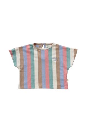 Your Wishes Multi Stripes | Cropped Tee 998 Multicolor