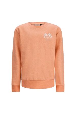 Retour Jeans Eelco sweater 7003 living coral