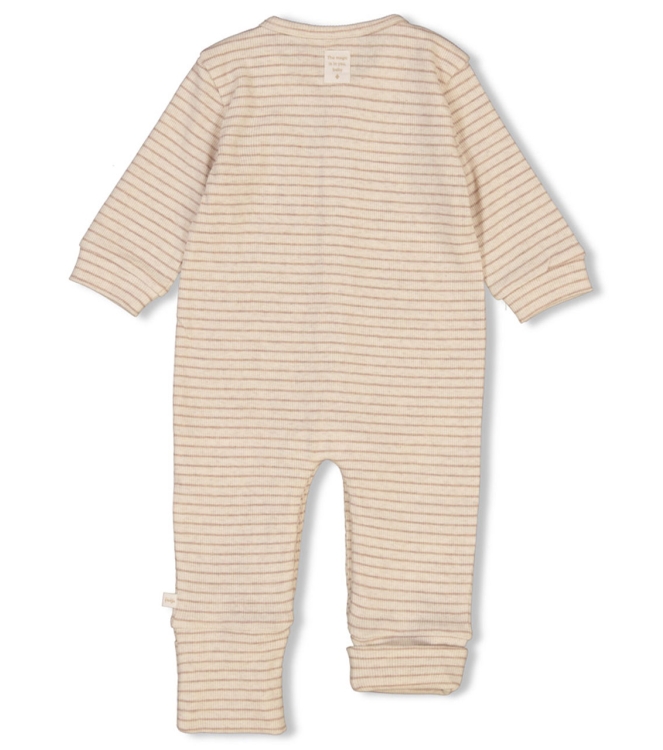 Feetje boxpakjes & rompers 730 Taupe melange 50700143