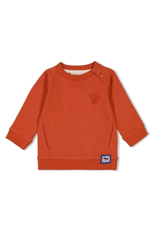 Feetje Go Fetch - Sweater 355 Brique