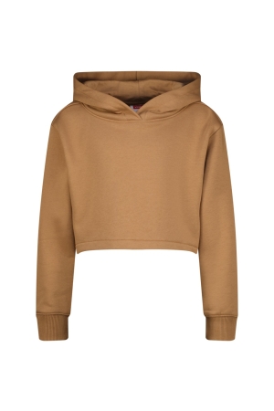 Vingino G-Basic-Sweat-Hoody 790 Rustic brown