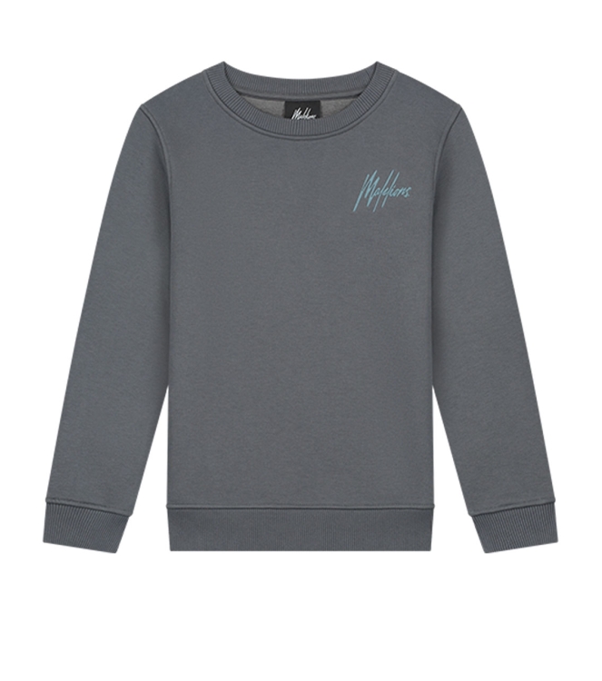 Malelions Junior truien & vesten 545 Dark Grey/Ice Blue MJ1-AW24-07