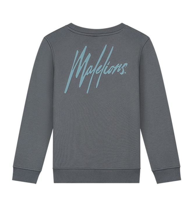 Malelions Junior truien & vesten 545 Dark Grey/Ice Blue MJ1-AW24-07