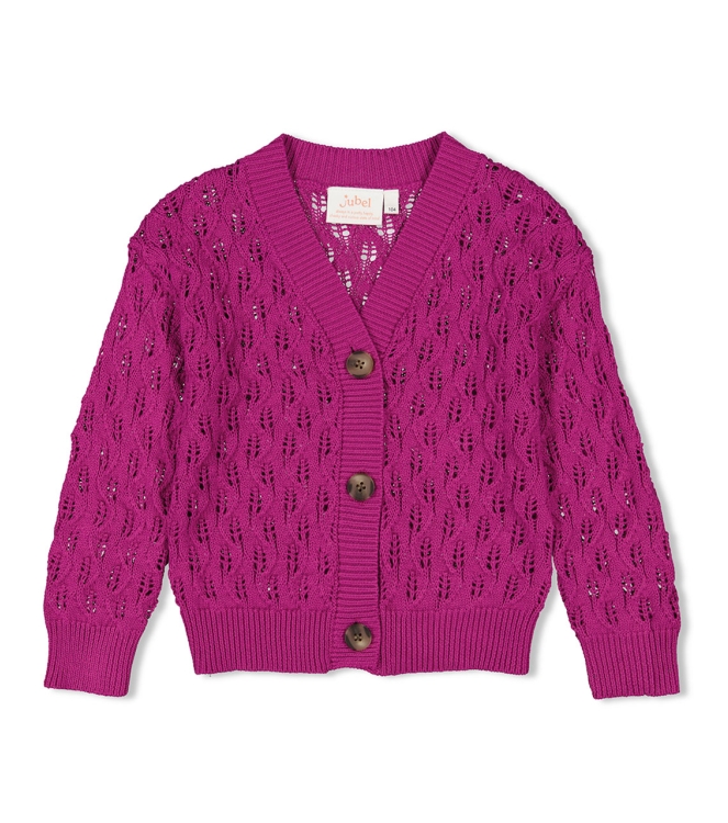 Jubel truien & vesten 160 Cerise 91300171