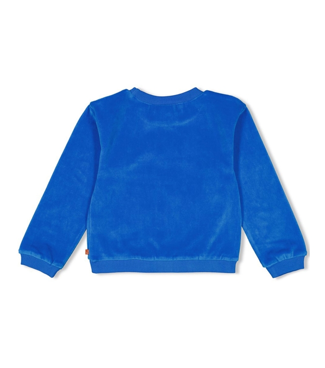 Jubel truien & vesten 015 Blauw 91600391