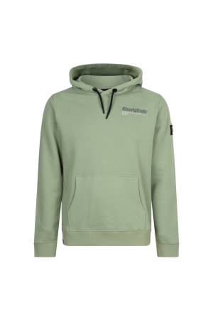 Rellix Hoodie RLX Originals Brushed 9640 Dusty Lime