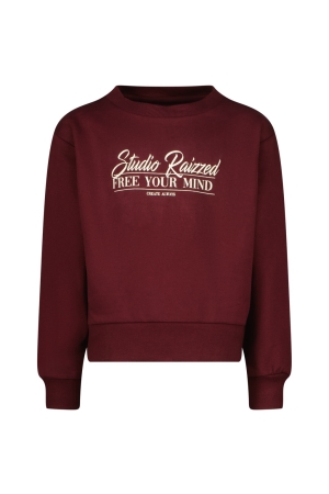 Raizzed Line Sweater 650 Sangria Red