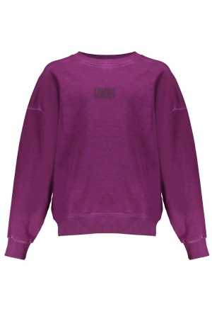 Frankie & Liberty Paris Sweater Purple Pink