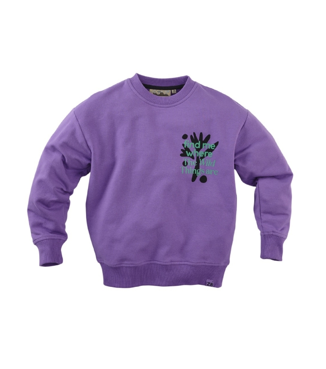 Z8 truien & vesten Purple palace Timon