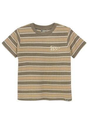 Daily7 T-shirt Stripe 9590 Desert Olive